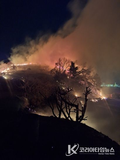 지난 8일 묘도동 산불 현장사진