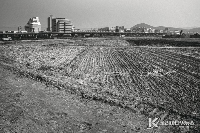 1995년도 고잔뜰 전경, 현재는 고잔신도시가 조성되어 아파트 단지로 변모했다.