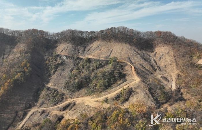 청주시, 수림대 남기는 친환경 목재 생산시 지원금 지급