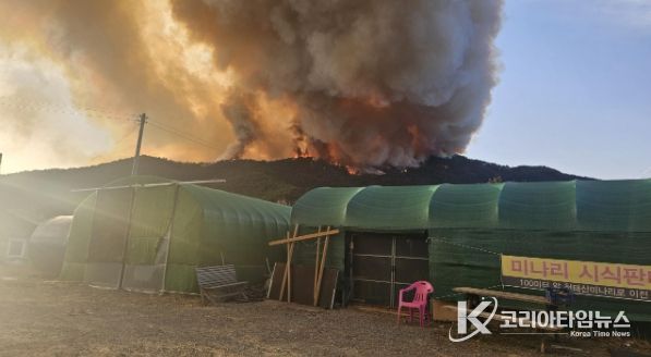 밀양시 삼랑진읍 야산 산불