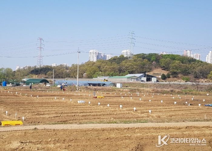 남양주시, ‘2026년 정약용 도시텃밭’분양…도심 속 치유 공간 마련