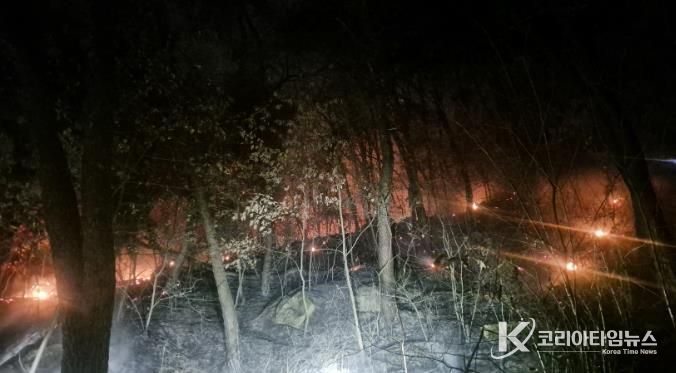 산불 발생 사진