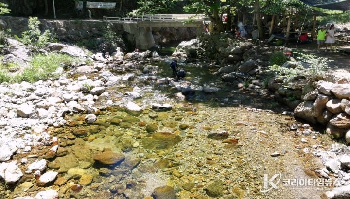 하천·계곡 불법 점용시설 집중단속