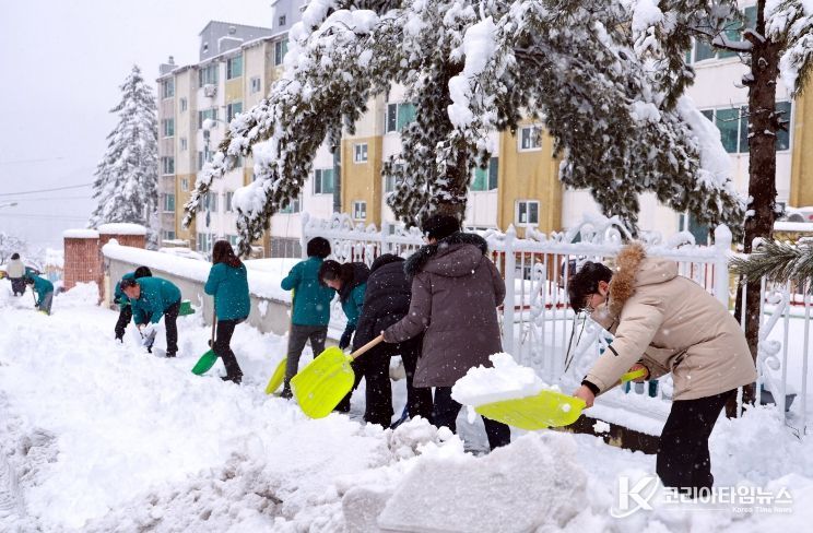 태백지역 폭설, 전 공무원 투입 제설 총력 대응