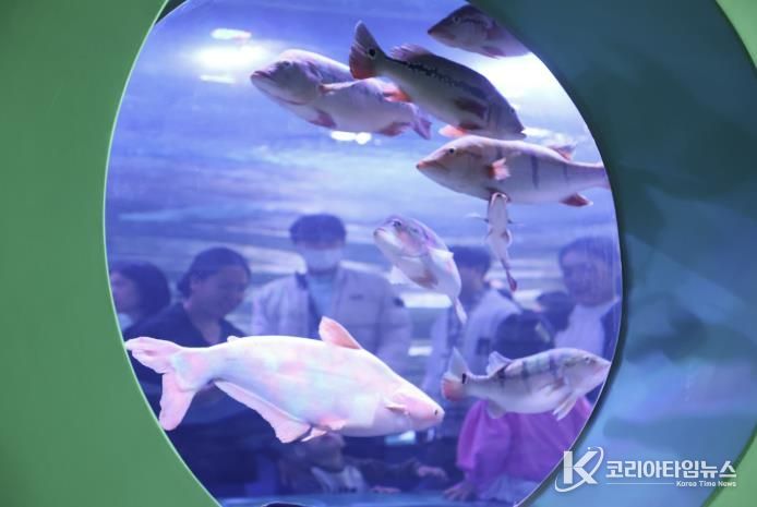 충주아쿠아리움, 개장 4개월 만에 누적 관람객 20만 명 돌파