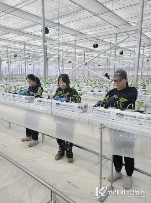 괴산군 청년농 임대형 스마트팜 본격 운영, 추가 시설하우스도 조성