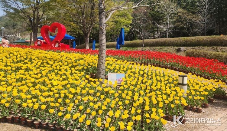 광장·산책로 일대 봄꽃동산 조성,