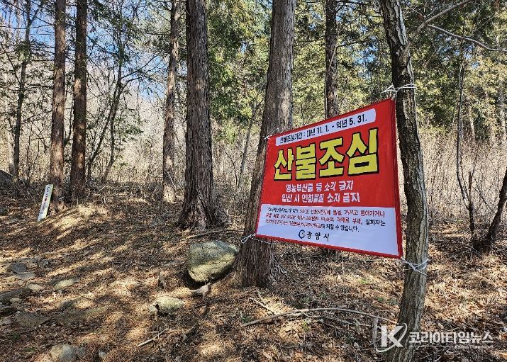 광양시, 산불 예방 위한 현장 중심 기동단속 강화