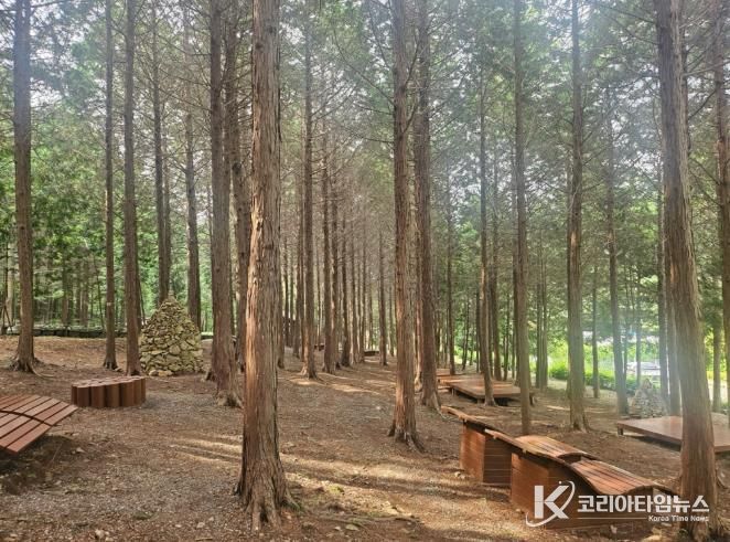 ‘지붕 없는 미술관’ 고흥으로 떠나는 봄맞이 3색 트레킹 - 팔영산 편백치유의 숲