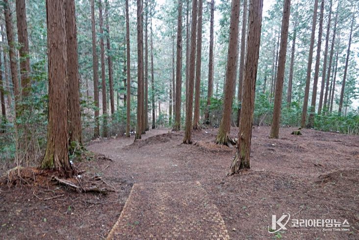 고창치유의숲(출처_마케팅센터)