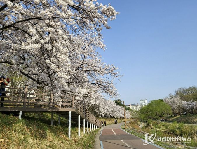 성남시, 벚꽃길 명소 9경