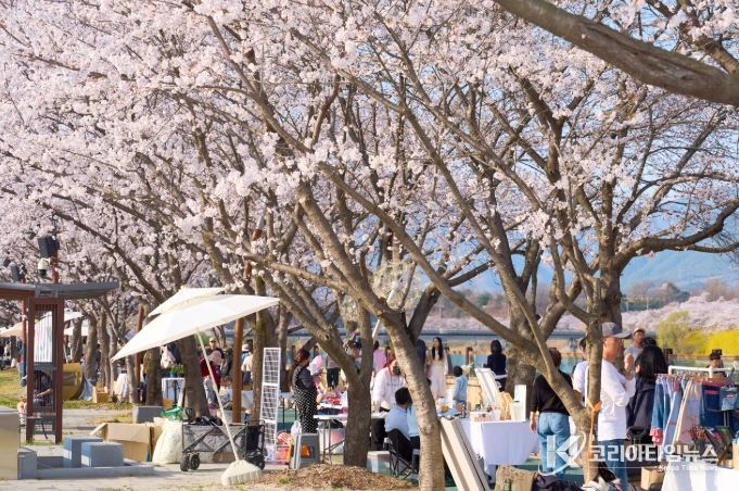 2026 제4회 구례300리 벚꽃축제