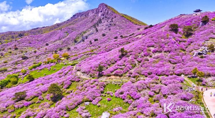 2025년 5월 산청 황매산 모습