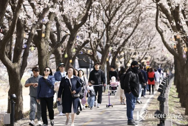 보은군, ‘보은 벚꽃길 축제’ 첫 주말 방문객 발길 이어져