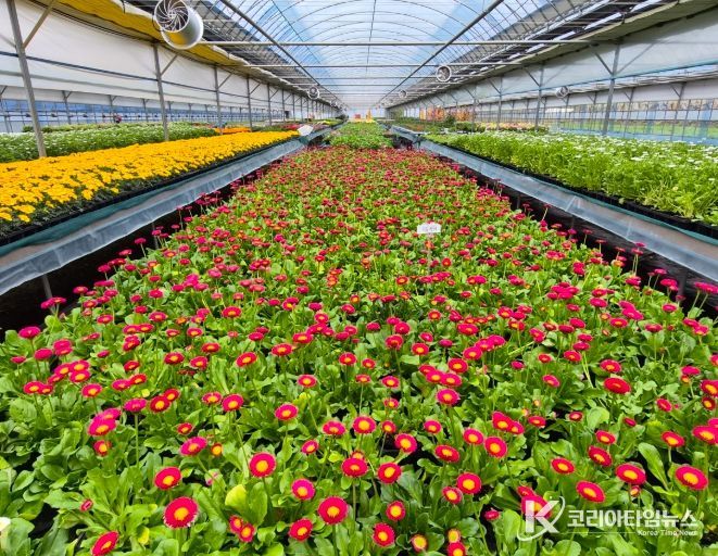 순천시, 도심 곳곳 봄꽃 물결