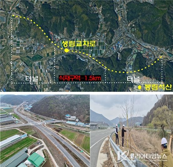 낙동강대로 이팝나무 가로수길 조성