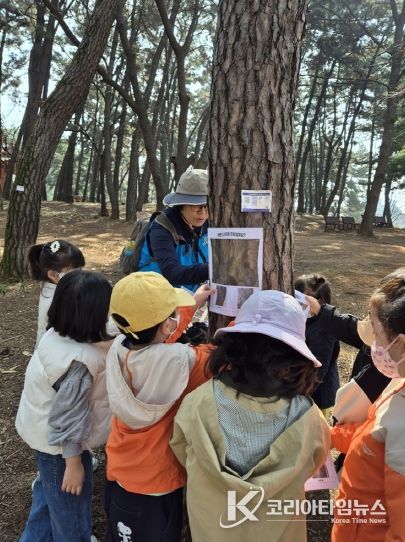 와글와글 움직이는 놀이터, 숲탐험대