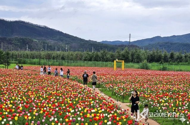 안동포타운, 안동포세대공감페스타 개최