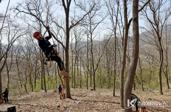 교육생 김강우 씨가 로프와 장비를 이용해 나무에 오르는 모습