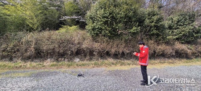 산불드론감시단 현장