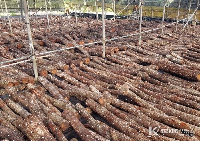 산림소득분야 보조사업